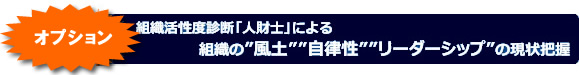 オプション1 組織活性度診断「人財士」による組織の”風土””自律性””リーダーシップ”の現状把握 オプション1 組織活性度診断「人財士」による組織の”風土””自律性””リーダーシップ”の現状把握