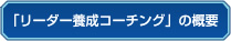 �u���[�_�[�{���R�[�`���O�v�̊T�v