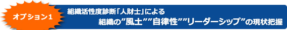 �I�v�V�����P�@�g�D�����x�f�f�u�l���m�v�ɂ��g�D�́h���y�h�h�������h�h���[�_�[�V�b�v�h�̌���c��