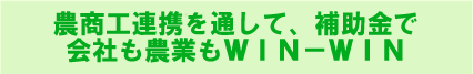 �_���H�A�g��ʂ��āA�⏕���ŉ�Ђ��_�Ƃ�WIN-WIN
