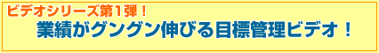 �ڕW�Ǘ��r�f�I