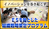 イノベーションを巻き起こすＥＳを軸とした組織戦略策定プログラム